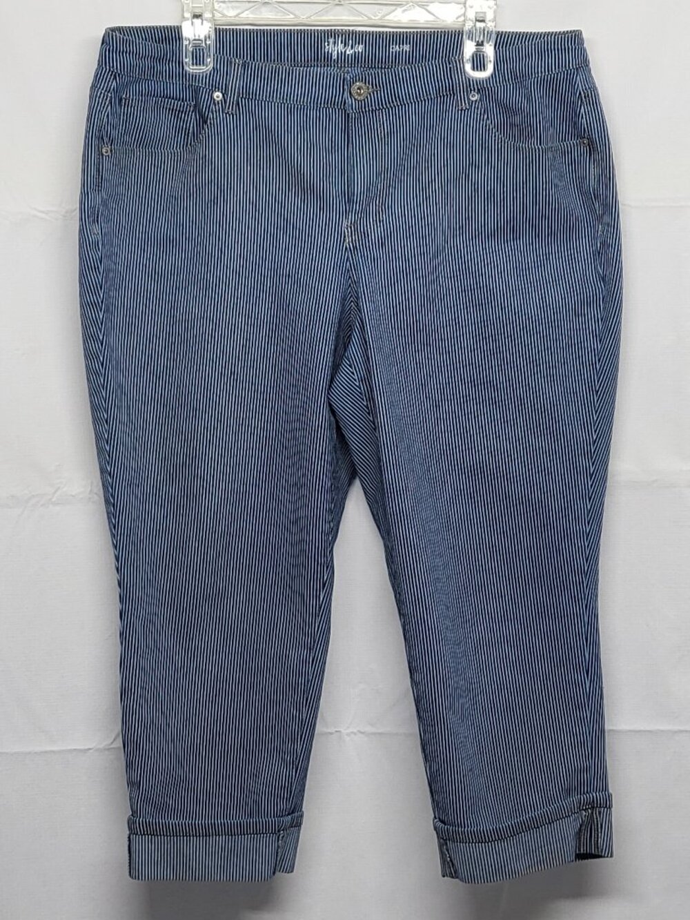 Style & Co Capri Pants Womens 16W Stretch Striped Mid Rise Pockets Blue